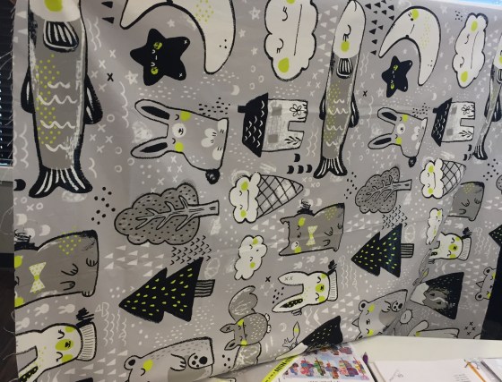 photo-2017-01-22-2-53-40-pm